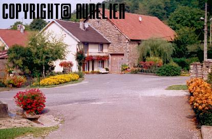 Village fleuri